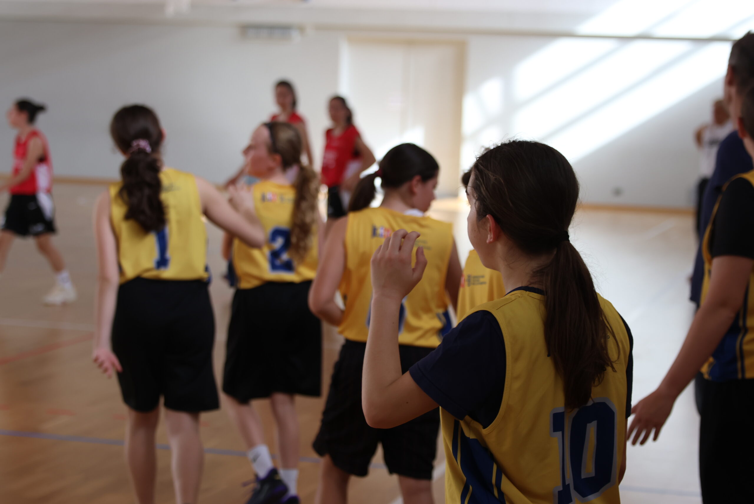 Under 13 Femminile | Pallacanestro Grado lotta per due quarti, poi l’APU Udine allunga: finisce 22-39